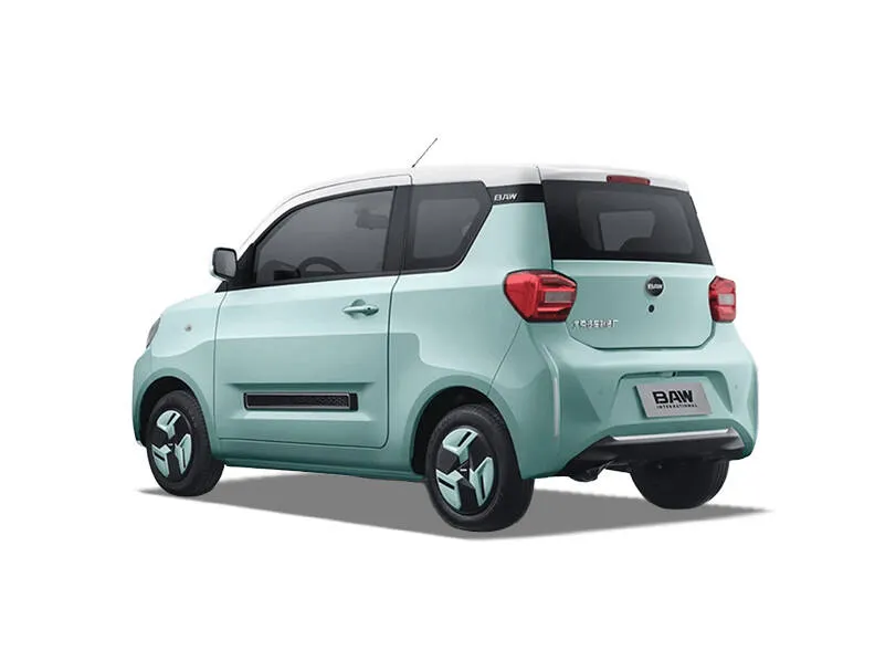 BAW Pony EV 6