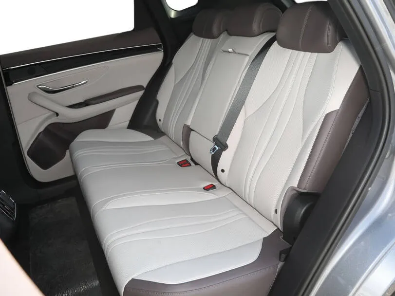 BYD Song Plus Song Plus Premium 5
