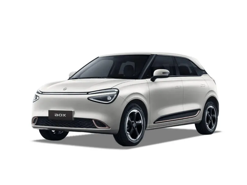 Dongfeng Box Lux 430 4